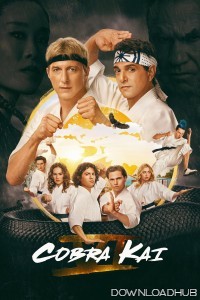 Cobra Kai (2024) Season 6 Part 2 Hindi Dubbed Series