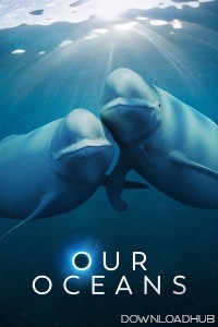 Our Oceans (2024) Season 1 Hindi Dubbed Web Series